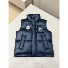 Louis Vuitton Down Jackets